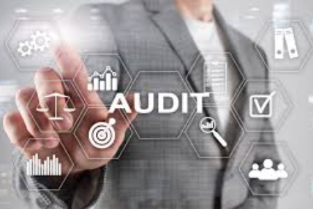 Auditing and Corporate Governance 