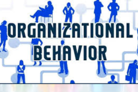  Organizational Behavior