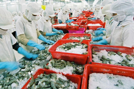 Operation Management in Fish Processing Plants